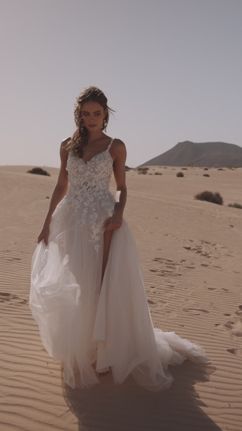 Aviva in video