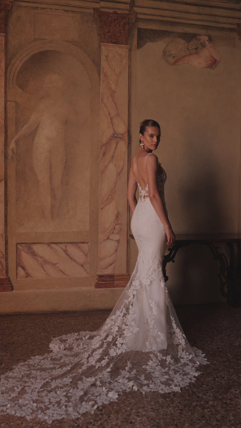 Apolonia in video