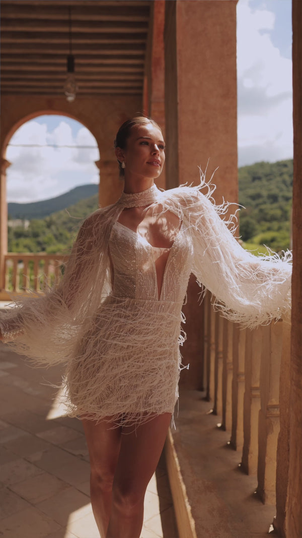 Viva in video
