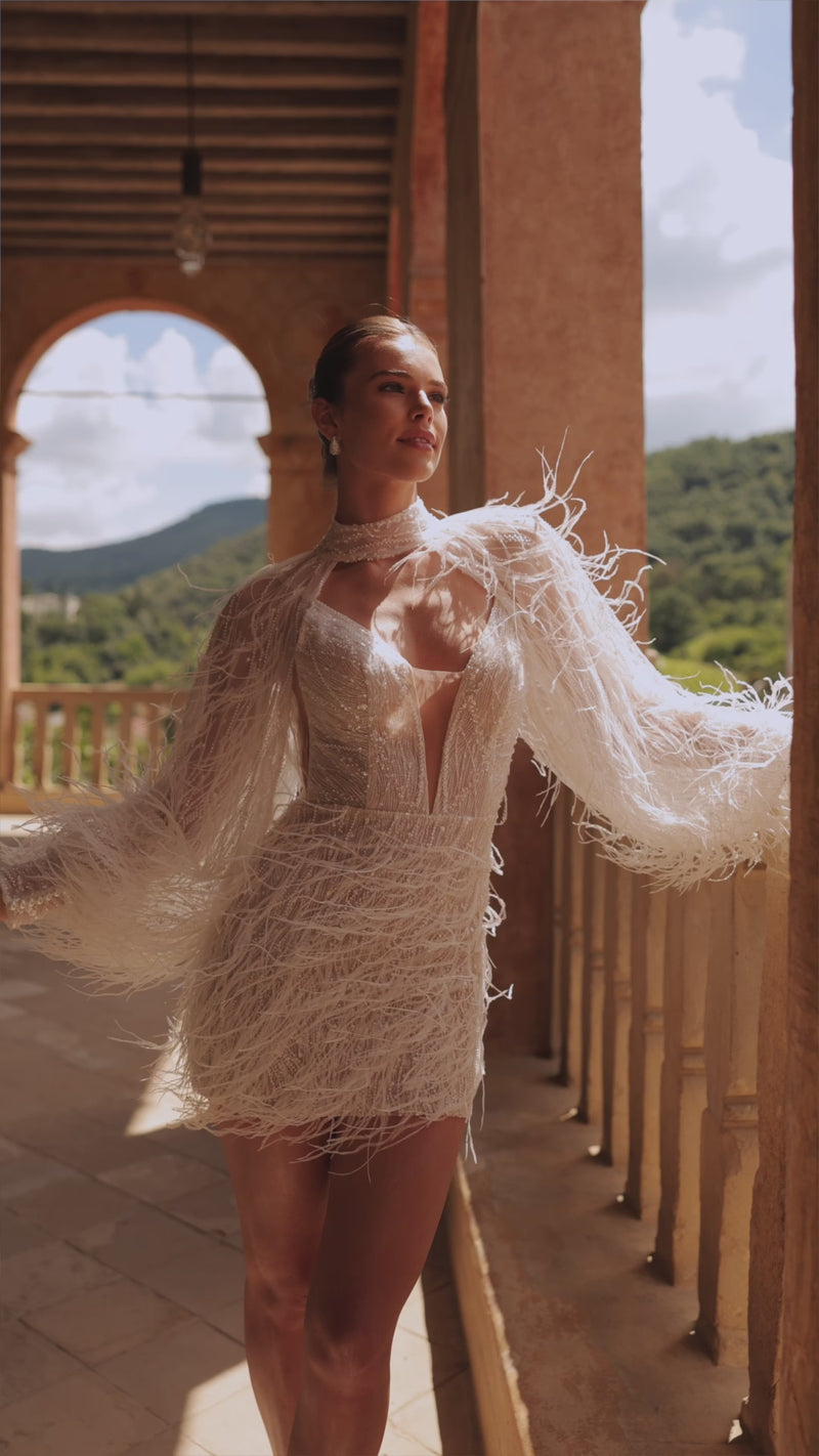 Viva in video